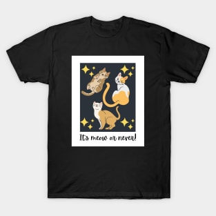 It's Meow Or Never! T-Shirt